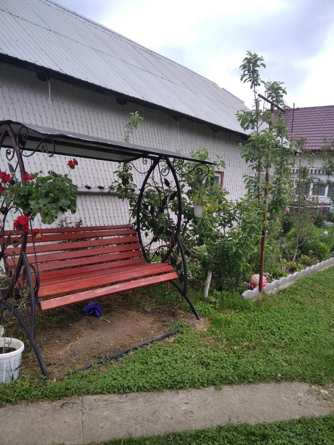 Villa Casuta Bunicilor Dorna Cindrenilor Exterior foto