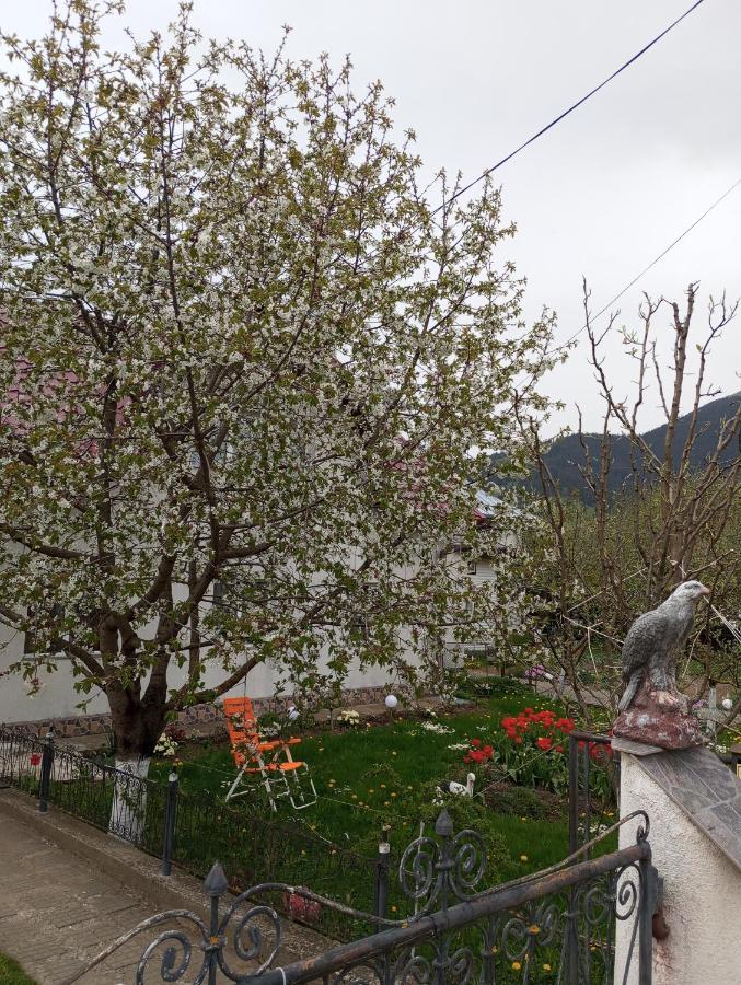 Villa Casuta Bunicilor Dorna Cindrenilor Exterior foto