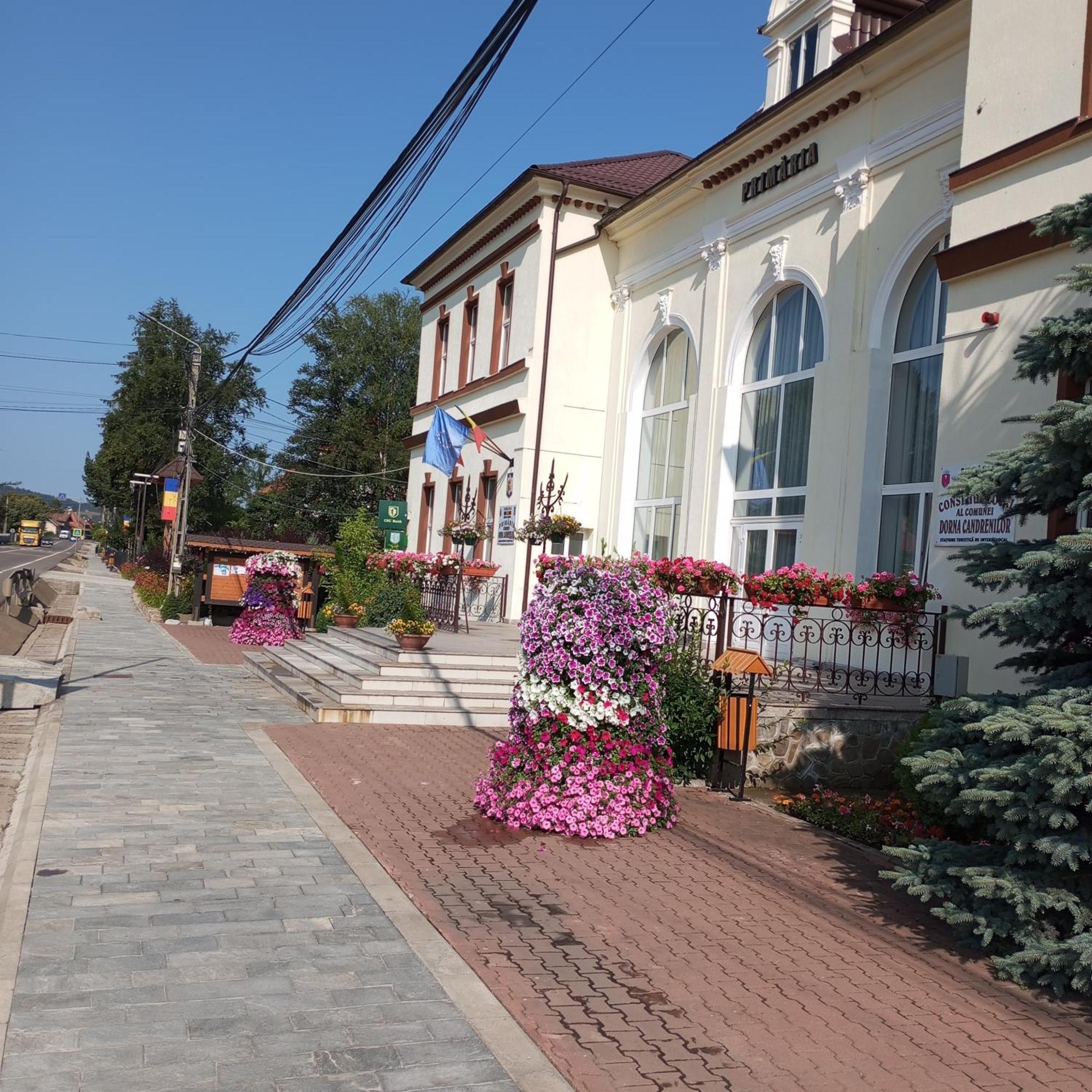 Villa Casuta Bunicilor Dorna Cindrenilor Exterior foto